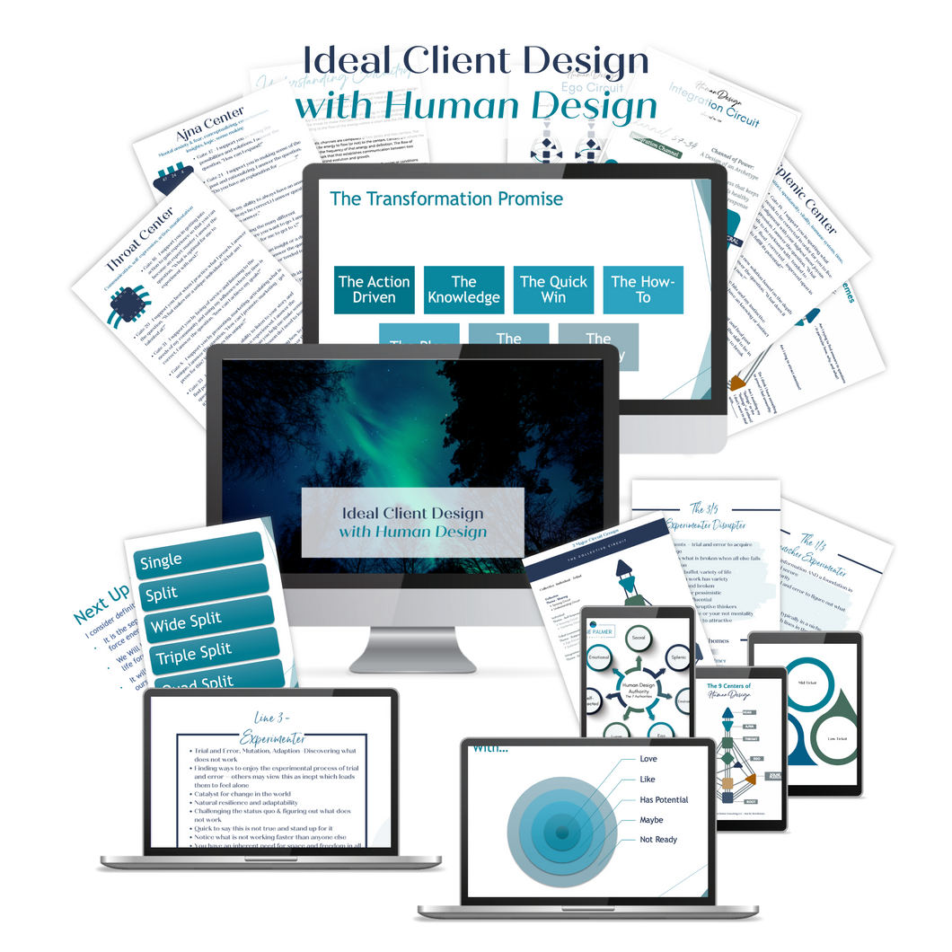 Ideal Client with Human Design Workshop