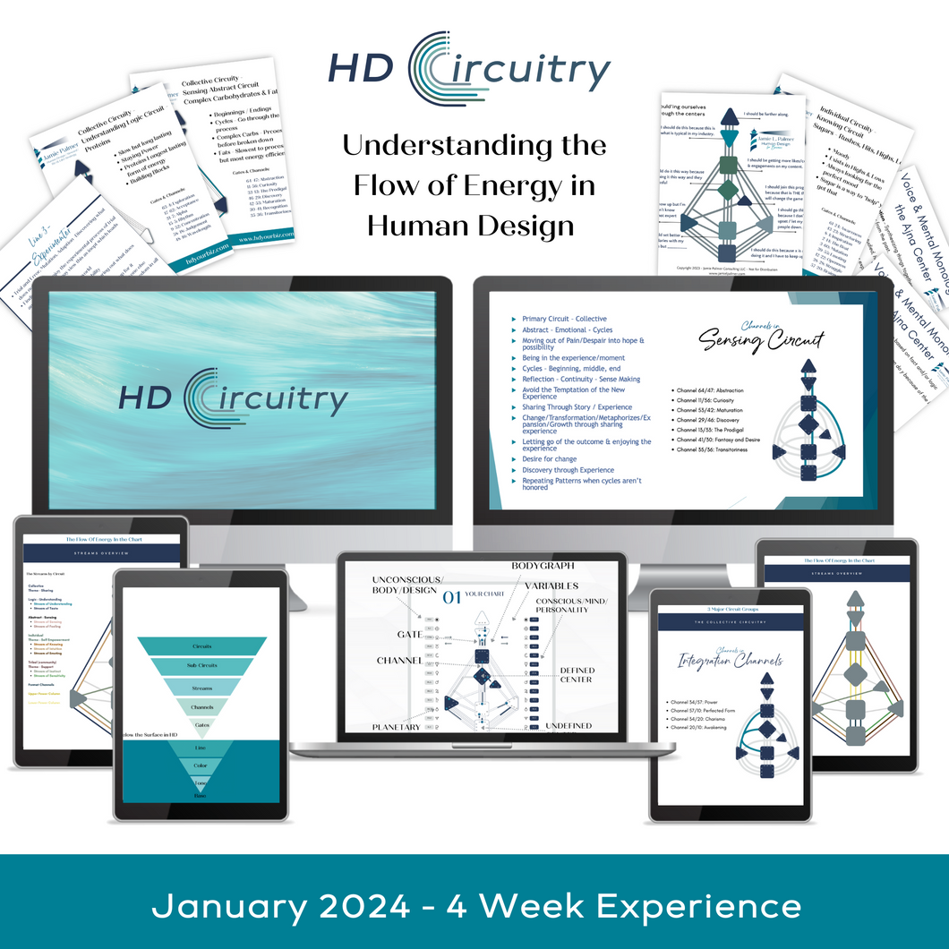 HD Circuitry - 4 Week Experience